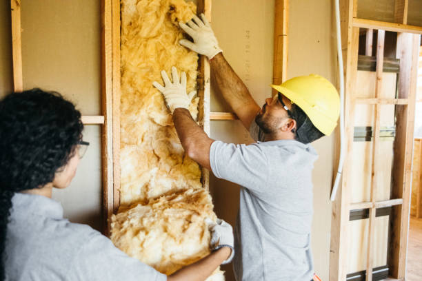 Best Eco-Friendly or Green Insulation Solutions  in Shelbina, MO